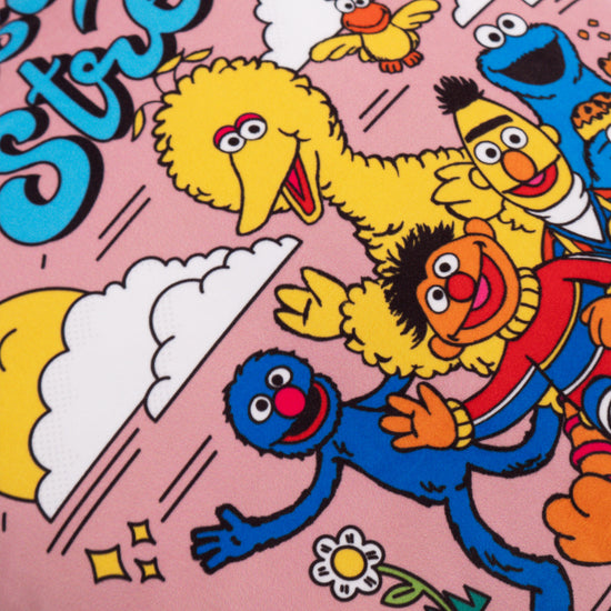 Kussenhoes 47 x 47cm - Sesame Street Since 1969 03