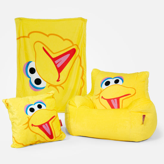 Kussenhoes 47 x 47cm - Big Bird 02