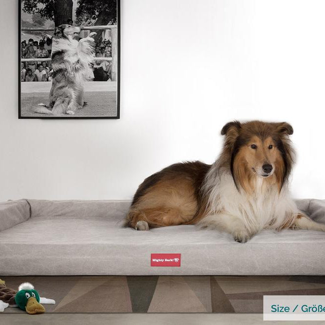"De Zitbank Van Mighty-Bark", Orthopedisch Hondenbank, Hondenbed, Hondenbank, Klein, Groot, XXL, Stonewashed Pewter