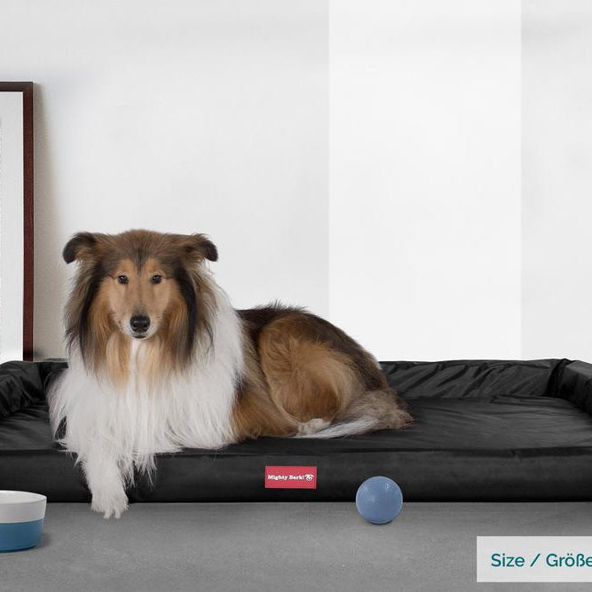 "De Zitbank Van Mighty-Bark", Orthopedisch Hondenbank, Hondenbed, Hondenbank, Klein, Groot, XXL, Waterbestendig Zwart