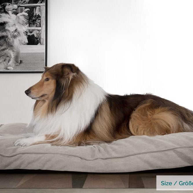 "De Hondenmatras Van Mighty-Bark", Orthopedisch Hondenkussen, Hondenbed, Stonewashed Pewter