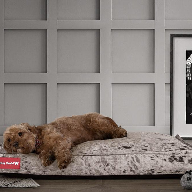 "De Hondenmatras Van Mighty-Bark", Orthopedisch Hondenkussen, Hondenbed, Glitter Zilver