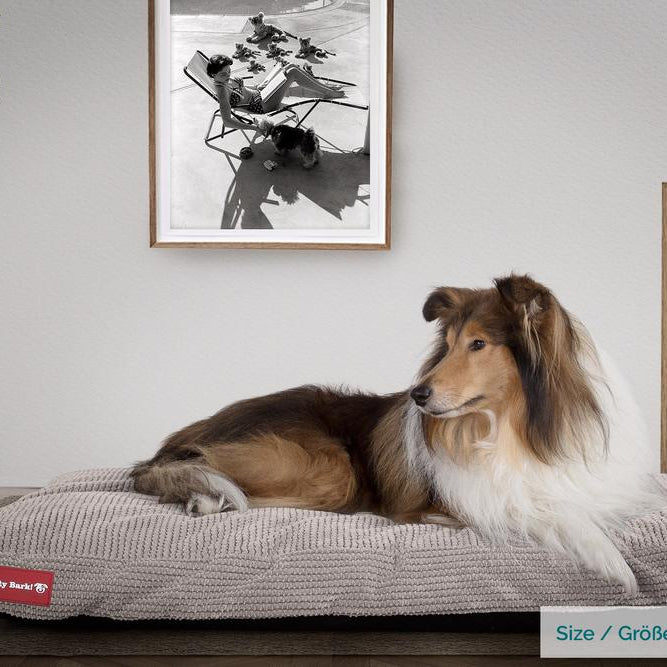 "De Hondenmatras Van Mighty-Bark", Orthopedisch Hondenkussen, Hondenbed, Pompom Mink