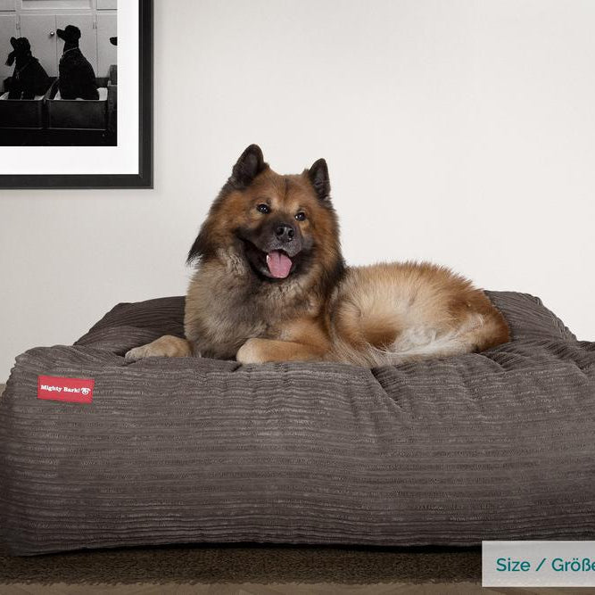 "De XXL Van Mighty-Bark", Hondenmand, Memory Foam, Corduroy Graphite