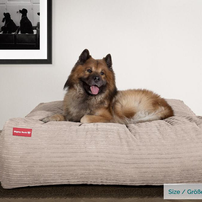 "De XXL Van Mighty-Bark", Hondenmand, Memory Foam, Corduroy Mink