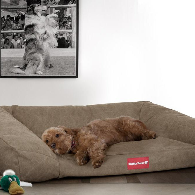 "De Slaapbank Van Mighty-Bark", Orthopedisch Hondenbank, Hondenbed, Hondenmand, Klein, Groot, XXL, Stonewashed Kaki