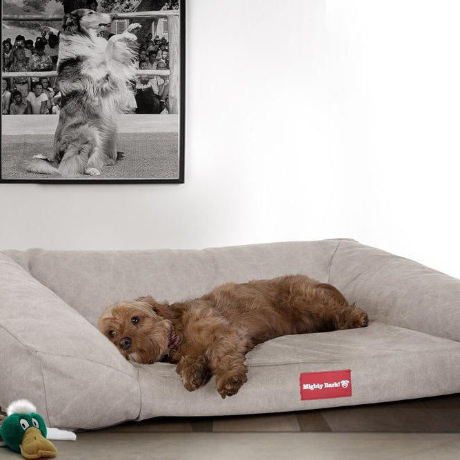 "De Slaapbank Van Mighty-Bark", Orthopedisch Hondenbank, Hondenbed, Hondenmand, Klein, Groot, XXL, Stonewashed Pewter